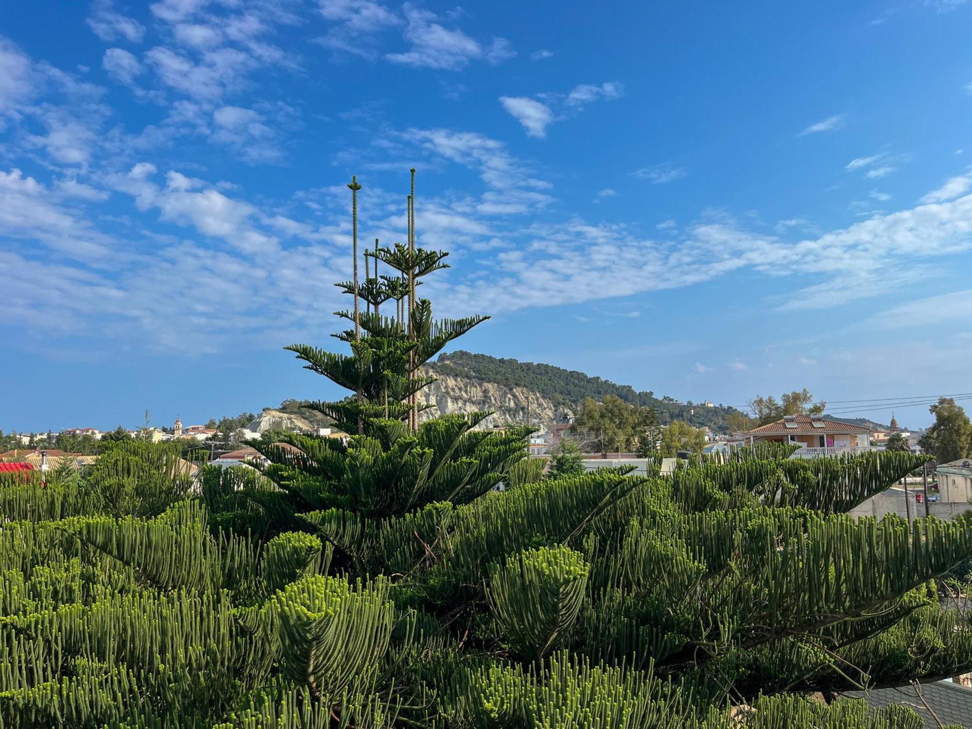 Pettas Apartments Zakynthos Town Exterior photo